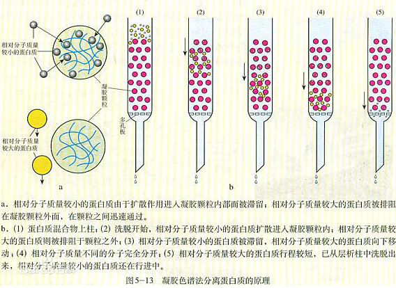 销售凝胶渗透色谱gpc哪家强