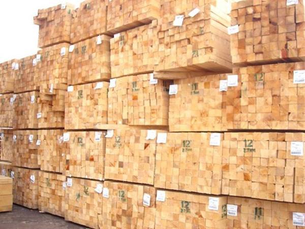 阜新建筑木方哪家好 服务至上「嘉誉源供应」