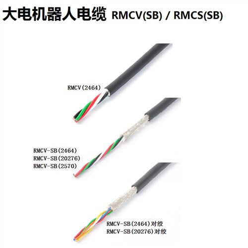 大电机器人电缆 伊津政供 大电机器人电缆RMCV(CS)系列