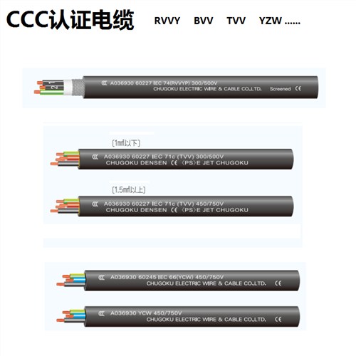 伊津政电线电缆（上海）有限公司