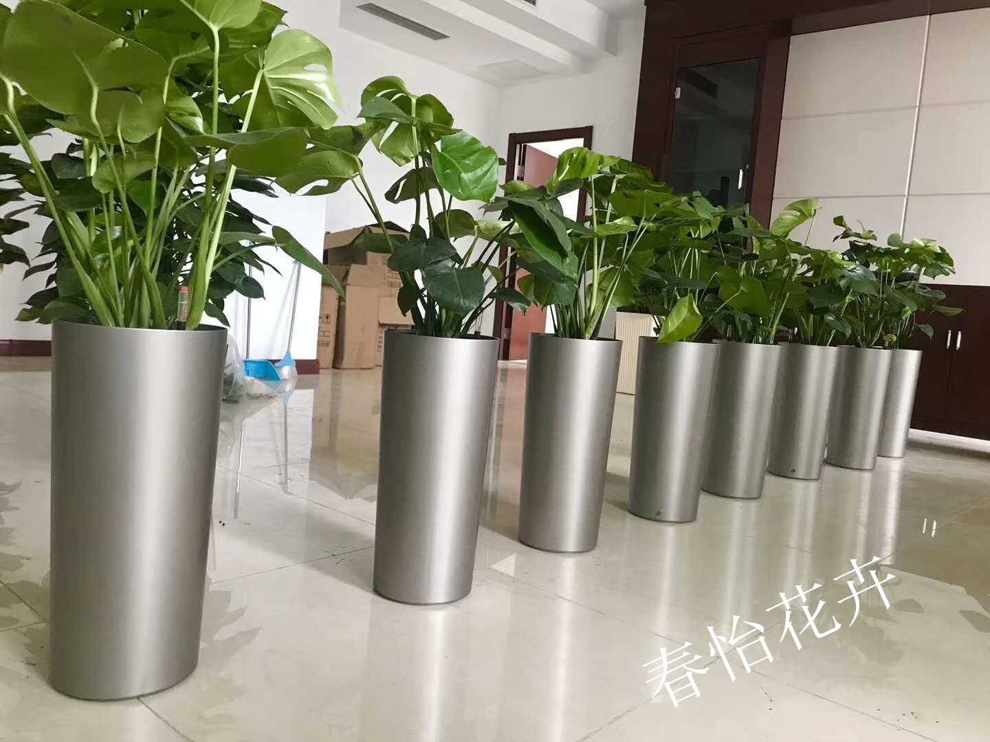 船营区专业绿植租摆价格 服务至上「春怡花卉供应」 - 宝发网