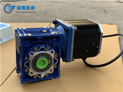 青海微型直流电动机订制,电动机