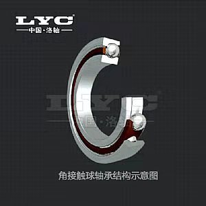 南平LYC轴承批发 诚信为本「晋江市益泉轴承贸易供应」
