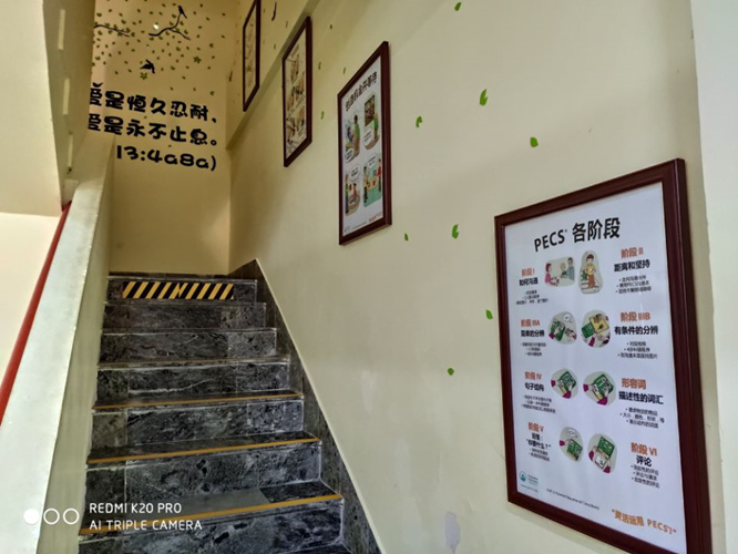 青岛特殊儿童教育学校 信息推荐「青岛守望星学苑供应」