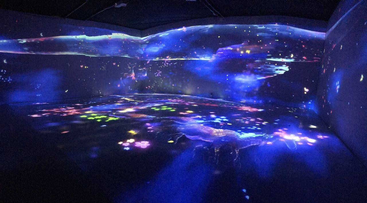 湖北ar花海出租光影展出租全息投影互动