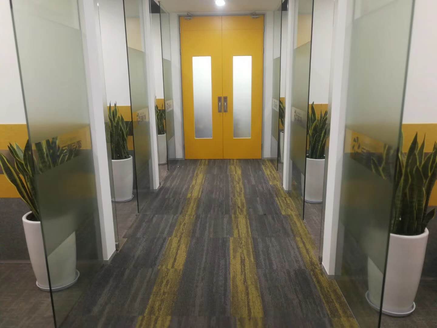 绿植花卉出租 服务为先「泉州万兴源绿植花卉供应」