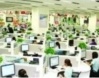 大连呼叫中心 南京德世伟业软件技术供应