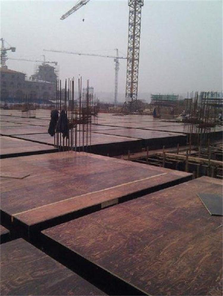郑州建筑工程多层板价格 值得信赖 百顺木业供应