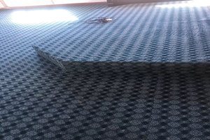 乌鲁木齐市专业地毯清洗家政公司 鸿儒鼎旺供应