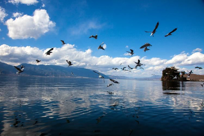 洱海旅游人口_洱海旅游攻略必去景点