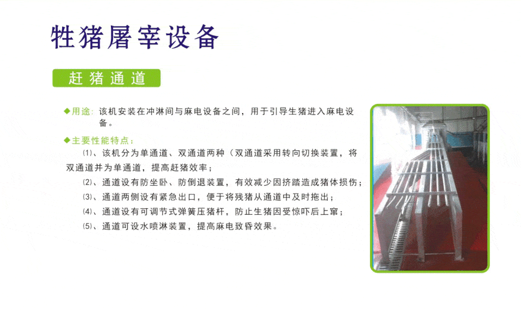內(nèi)蒙古自動豬屠宰設(shè)備