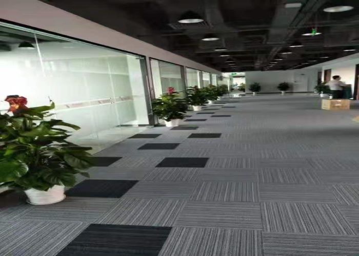 龙华区质量植物租赁销售厂家「深圳市绿园轩园林花卉供应」