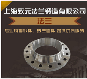 辽宁不锈钢法兰制造厂家 欢迎咨询 上海致元法兰锻造供应