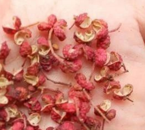 鹤岗花椒提取物OEM代加工
