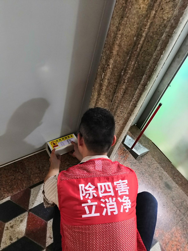 福建老鼠防治公司