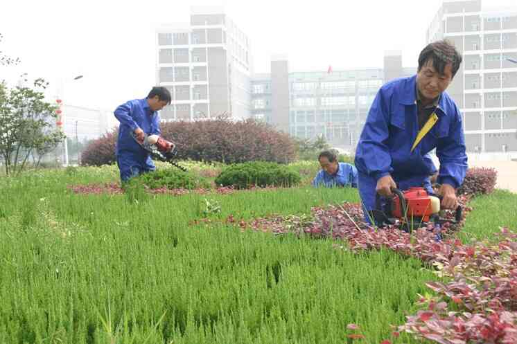 南京园区园林养护找哪家 南京春之恋景观工程供应