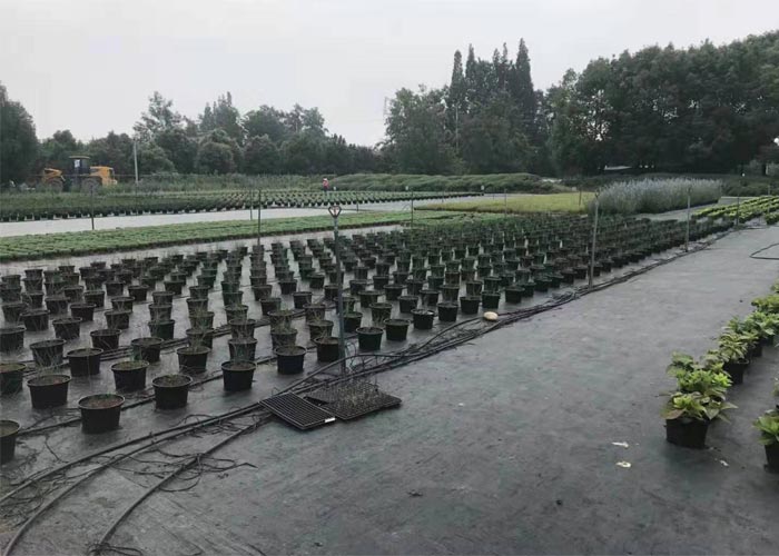 重庆园林灌溉系统,灌溉