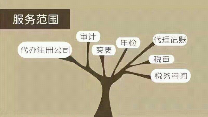 万宁商务服务：现代经济发展的加速器