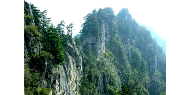 洛阳一日游必去景区 贴心服务「南阳市仙宝九旅游发展图片
