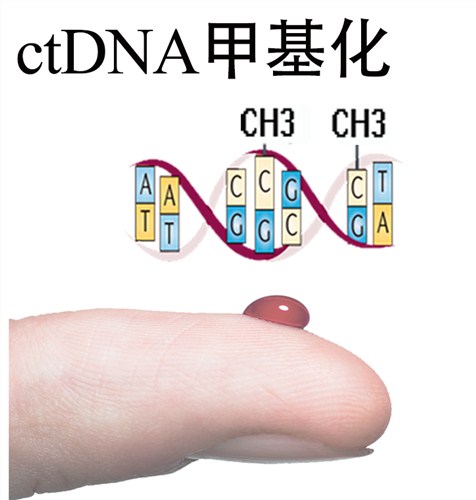 上海ctDNA云序供