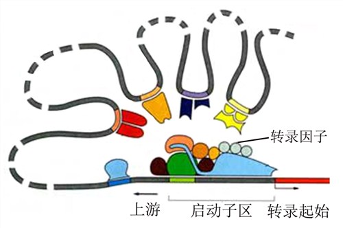 上海云序生物科技有限公司