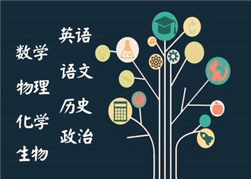 昆明五华区初中英语补习初中「昆明顶驰教育咨询v初中」图片课程美女腿的图片