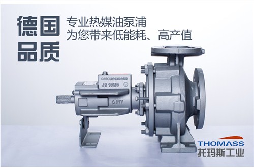 南京德国进口NTT热油泵 值得信赖 惠州托玛斯工业科技有限公司供应