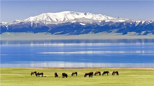 重庆到内蒙古摄影旅游价格 信息推荐 上海锦轩国际旅行社供应
