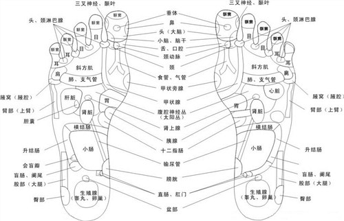 辽宁中医推拿班推荐,中医推拿班