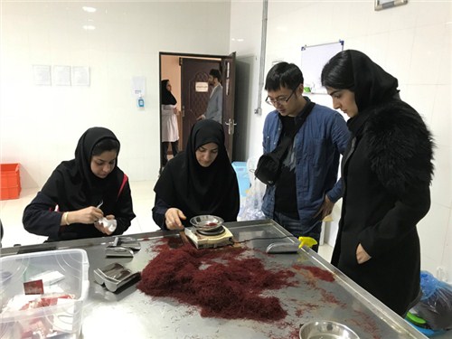 珠海进口伊朗原产地伊朗藏红花产品实拍,伊朗藏红花