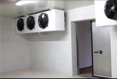 厦门冻品冷库设计方案 冷通供应