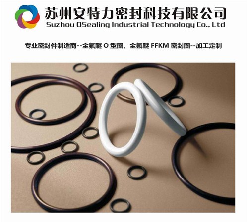 Kalrez密启圈-全氟醚密启圈,Kalrez密启圈-全氟醚密启圈