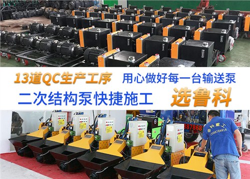 重庆二次结构柱泵 欢迎咨询 南京鲁科重工机械供应