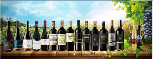 迎泽区品牌葡萄酒加盟 欢迎咨询 沃顿国际贸易供应