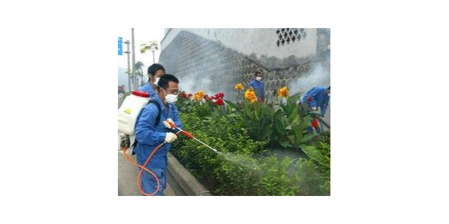 小区杀虫灭鼠公司怎么样