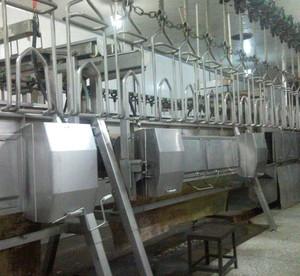 河南大型屠宰设备厂家 服务至上 南京耐合屠宰机械制造供应