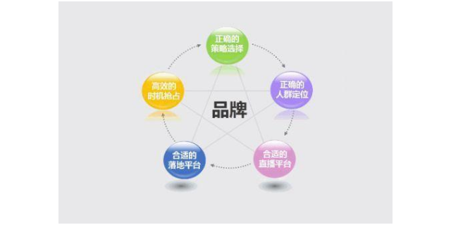 中国台湾现代化品牌推广是什么 上海昌源电子商务