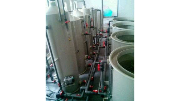 天津泡沫分餾器的作用,蛋白分離器