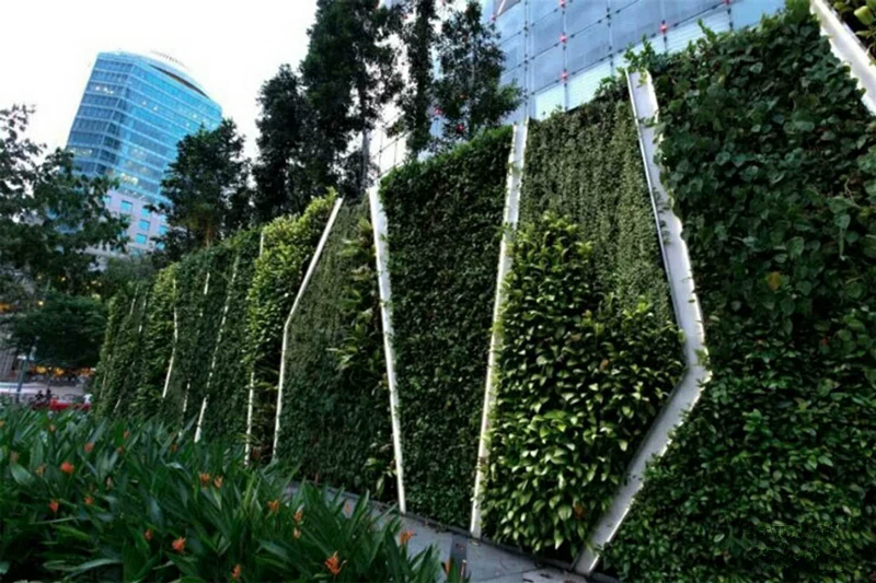 上海仿真立体植物墙 抱诚守真「相城经济技术开发区御景源装饰材料供应」