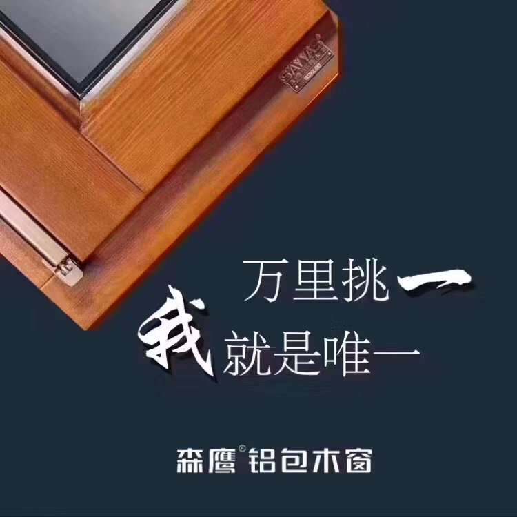 江苏推拉窗生产厂家,铝包木窗