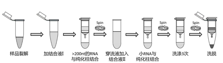 天津新手RNA提取试剂盒500T/5865元 欢迎咨询 上海朝瑞生物科技供应