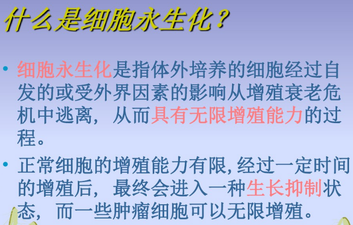 天津端粒法细胞永生化 欢迎咨询 上海朝瑞生物科技供应