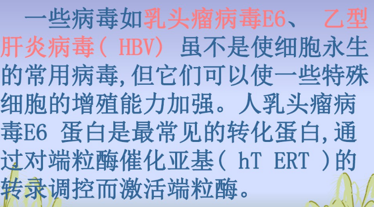 天津*基因法细胞永生化专业定制,细胞永生化