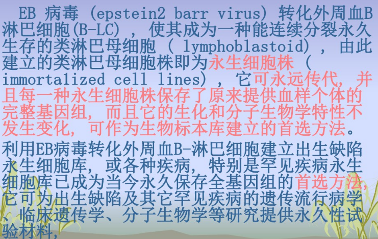 北京抑*基因细胞永生化 来电咨询 上海朝瑞生物科技供应
