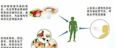 天津广谱不明原因病原 检测服务 欢迎咨询 上海朝瑞生物科技供应