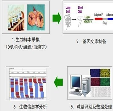 上海特殊不明原因病原 筛查服务 欢迎咨询 上海朝瑞生物科技供应