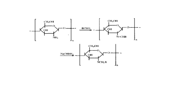 四川壳聚糖供应,壳聚糖