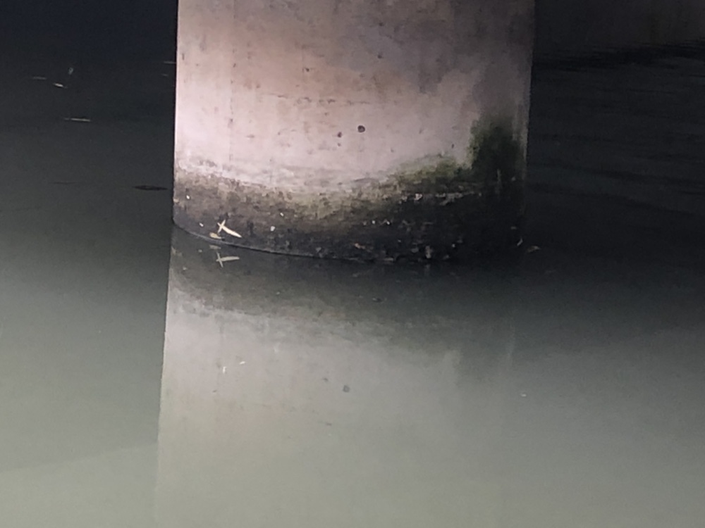 江蘇**橋梁檢測(cè)哪家快 歡迎來(lái)電 上海思道檢測(cè)供應(yīng)