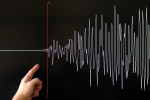 上海模拟试验地震评估,地震