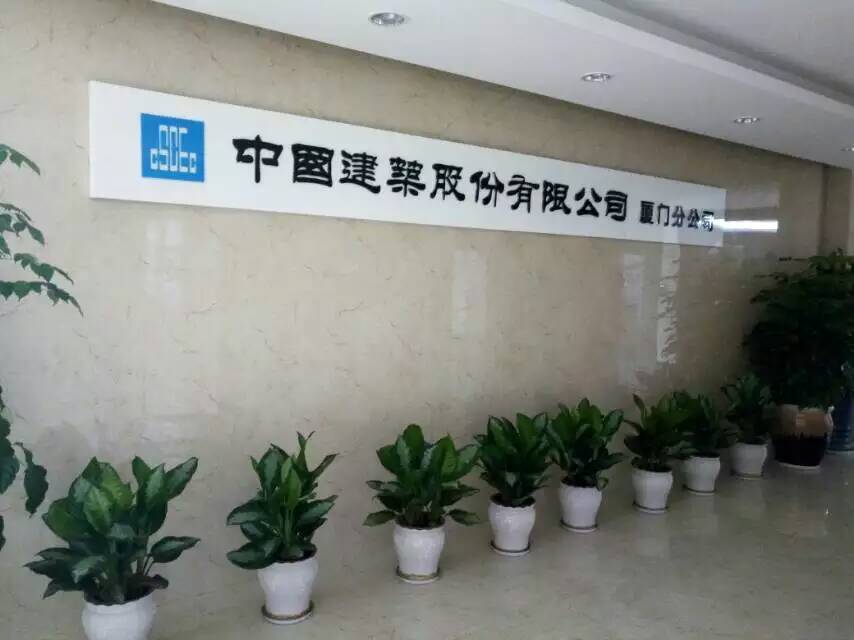 刺桐发财树绿植设计